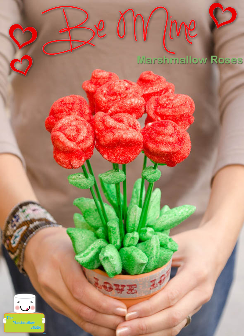 Valentines Day Red Roses by The Marshmallow Studio for JP