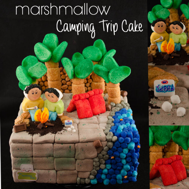 The Marshmallow Studio-Smores Camping Trip Marshmallow Cake