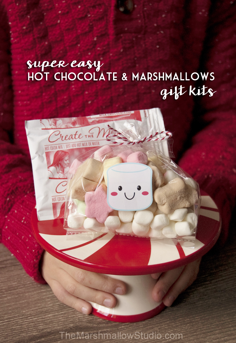 hot-cocoa-and-marshmallows-gift-kit-by-themarshmallowstudio_hero2