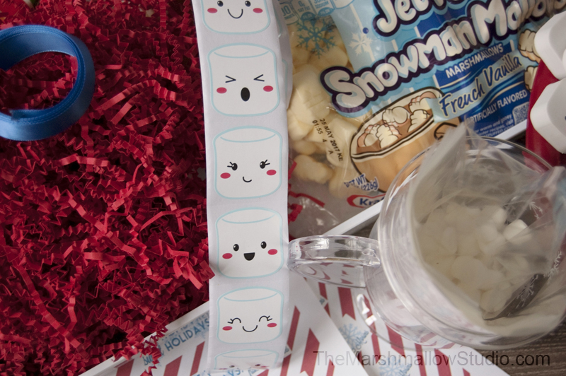 hot-cocoa-and-marshmallows-gift-kits_themarshmallowstudio12