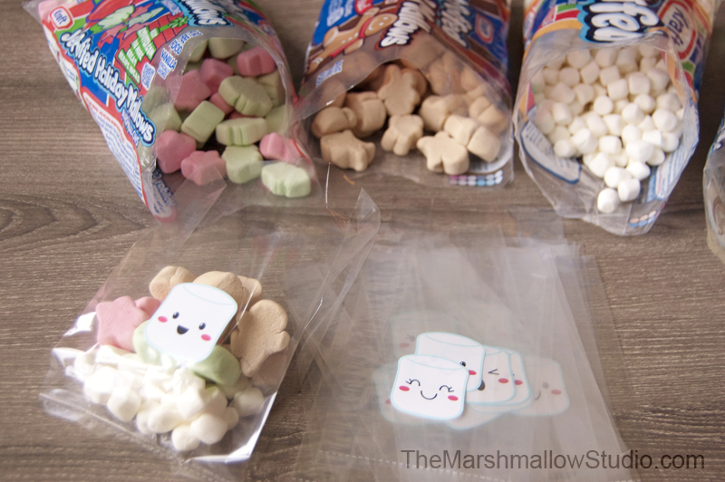 hot-cocoa-and-marshmallows-gift-kits_themarshmallowstudio52