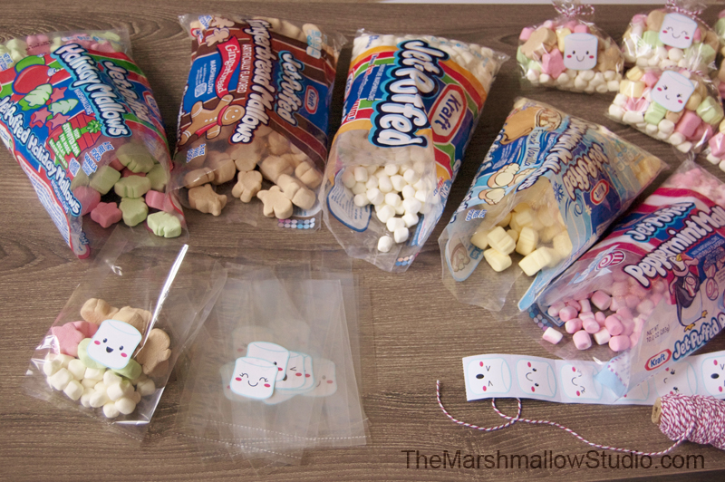 hot-cocoa-and-marshmallows-gift-kits_themarshmallowstudio53