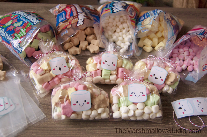 hot-cocoa-and-marshmallows-gift-kits_themarshmallowstudio55
